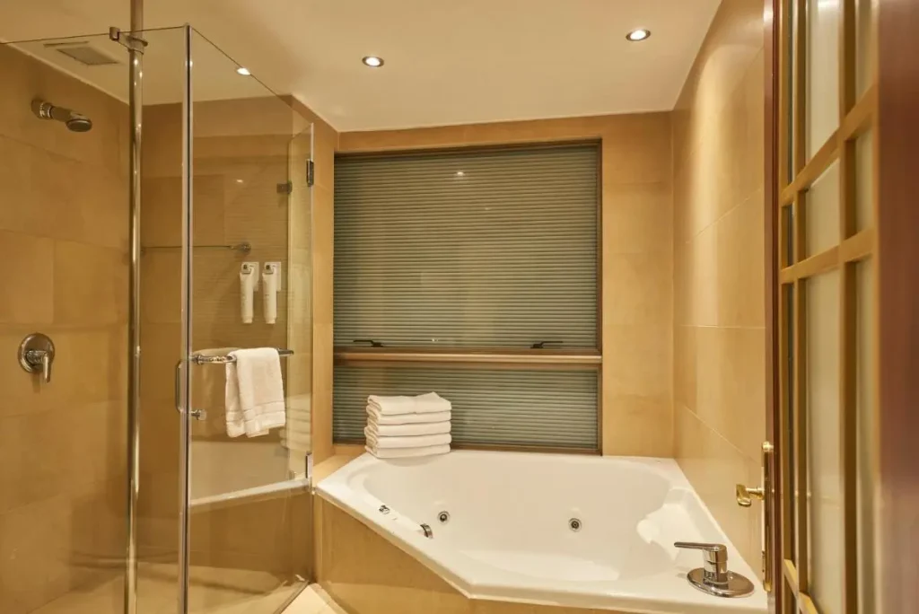 presidential-suite-with-jacuzzi-hotel-plaza-el-bosque-ebro-santiago
